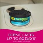 California Scents Organic Can Air Fresheners | Laguna Breeze
