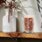Yankee Candle Signature Scented Candle | Cinnamon Stick Large Tumbler Candle